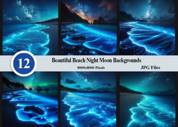 Beautiful Beach Night Moon Backgrounds for Creative Projects